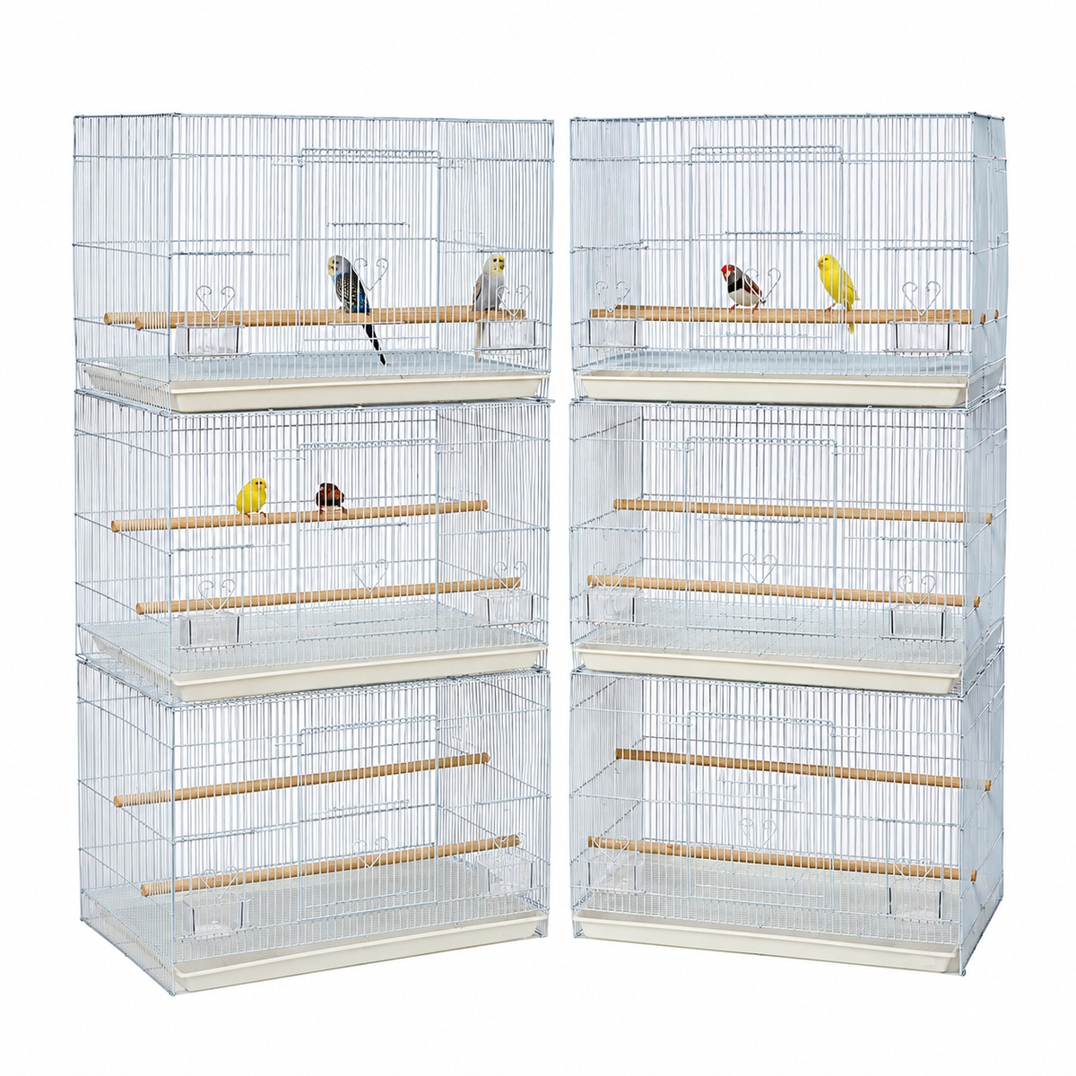 3505 - Loro Cage