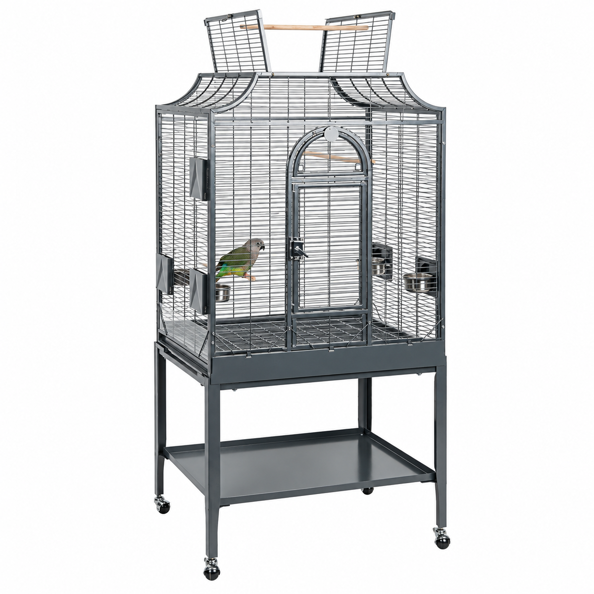 1019 - Amazona II Cage