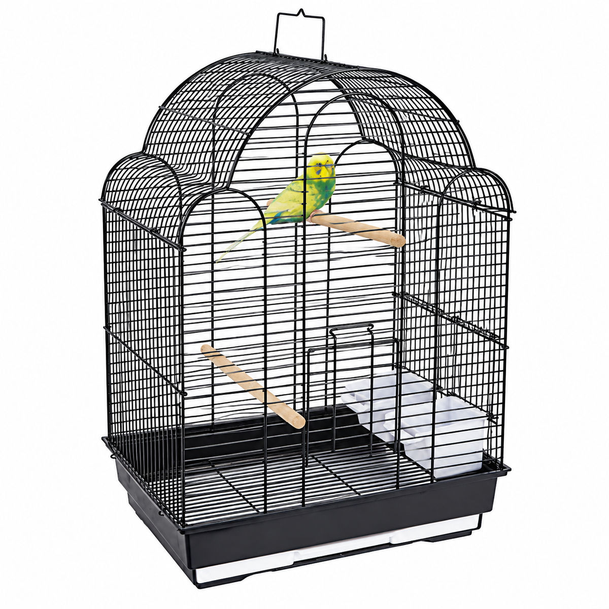 1880 - San Felipe Black Cage  (Box of 6)