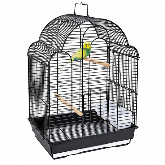1880 - San Felipe Black Cage  (Box of 6)