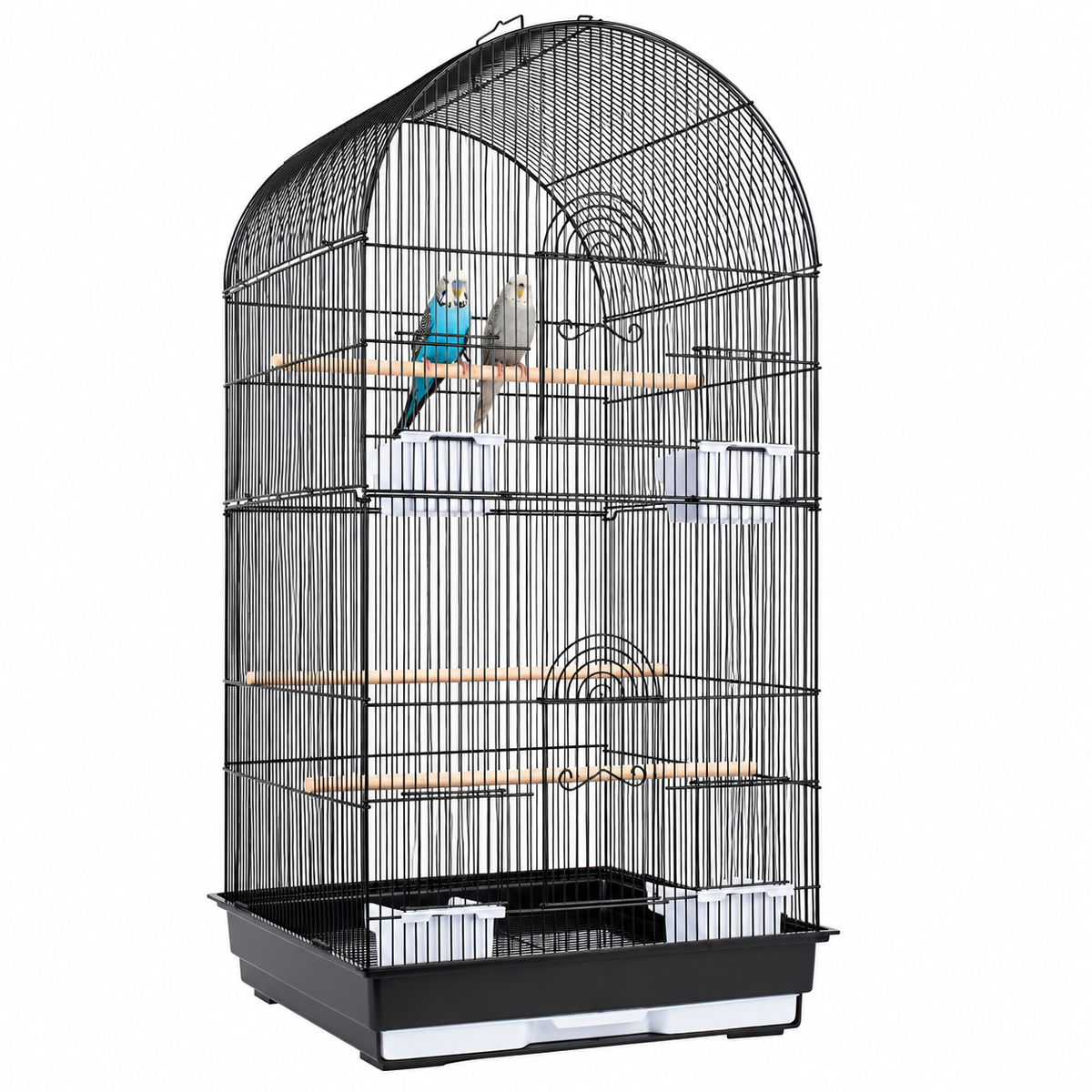 1900 - Caracus Black Cage (Box of 2)