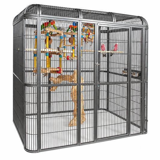1516 - Parrot Aviary