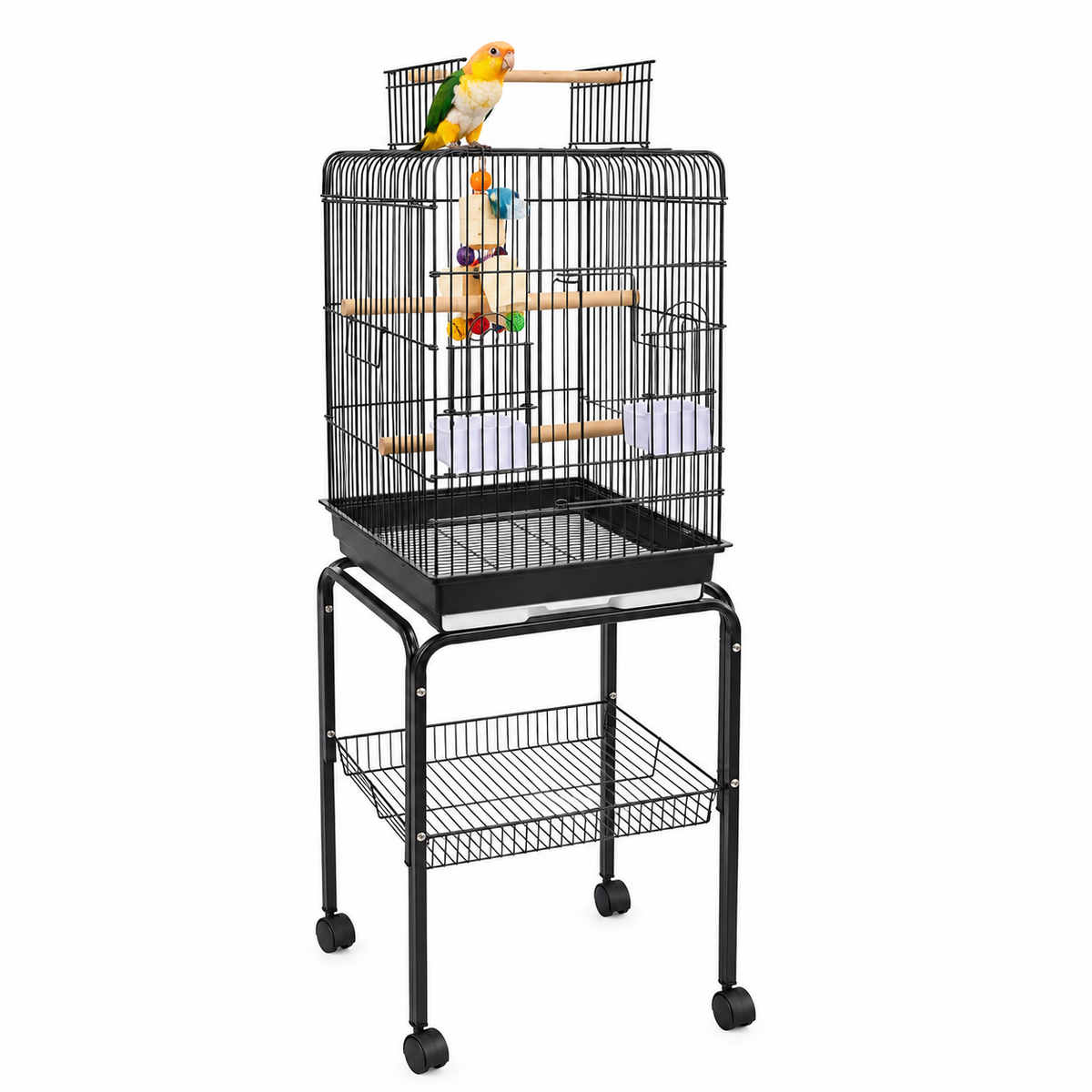 1702 - Santa Monica Black Cage (Box of 2)