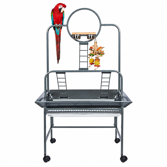 7700 - Guyana Play Stand