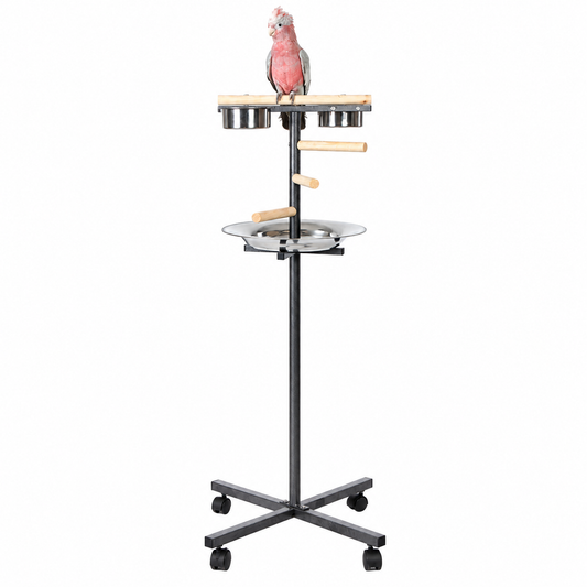 5810 - Little T Stand