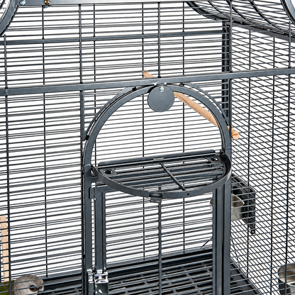 1019 - Amazona II Cage