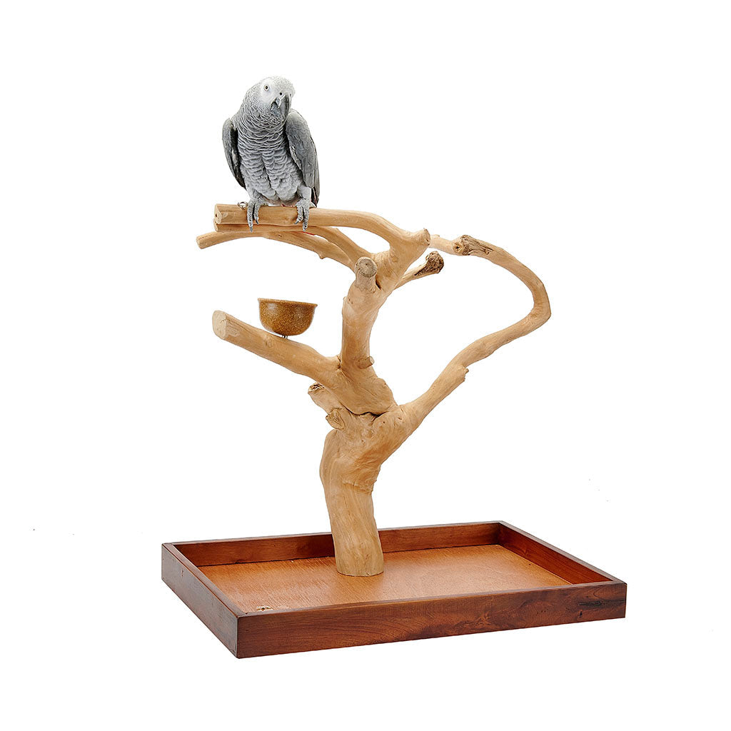 4310 - Java Mini Tree Medium
