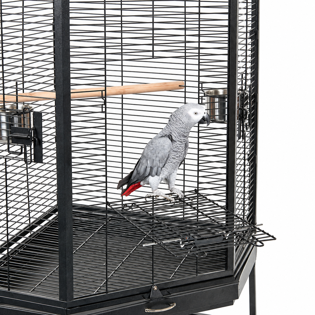 2520 - Alaska Cage