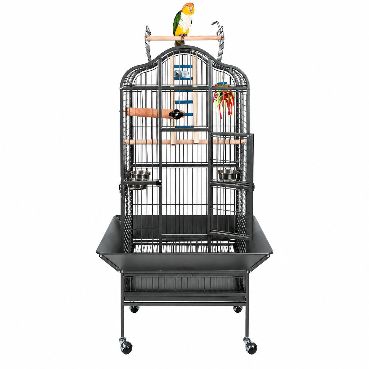 5010 - Eagle Cage