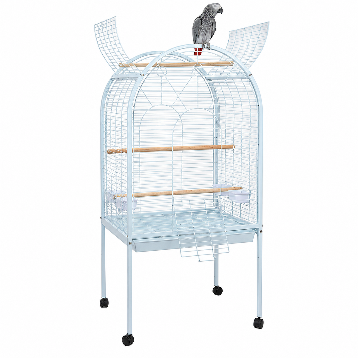 5007 - Liberta Apollo Cage