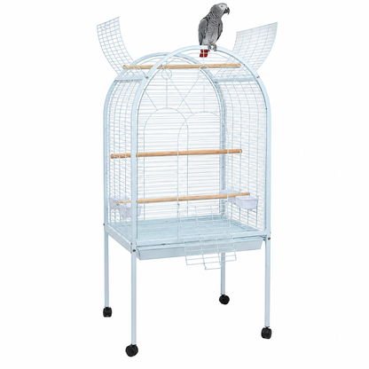 5007 - Liberta Apollo Cage