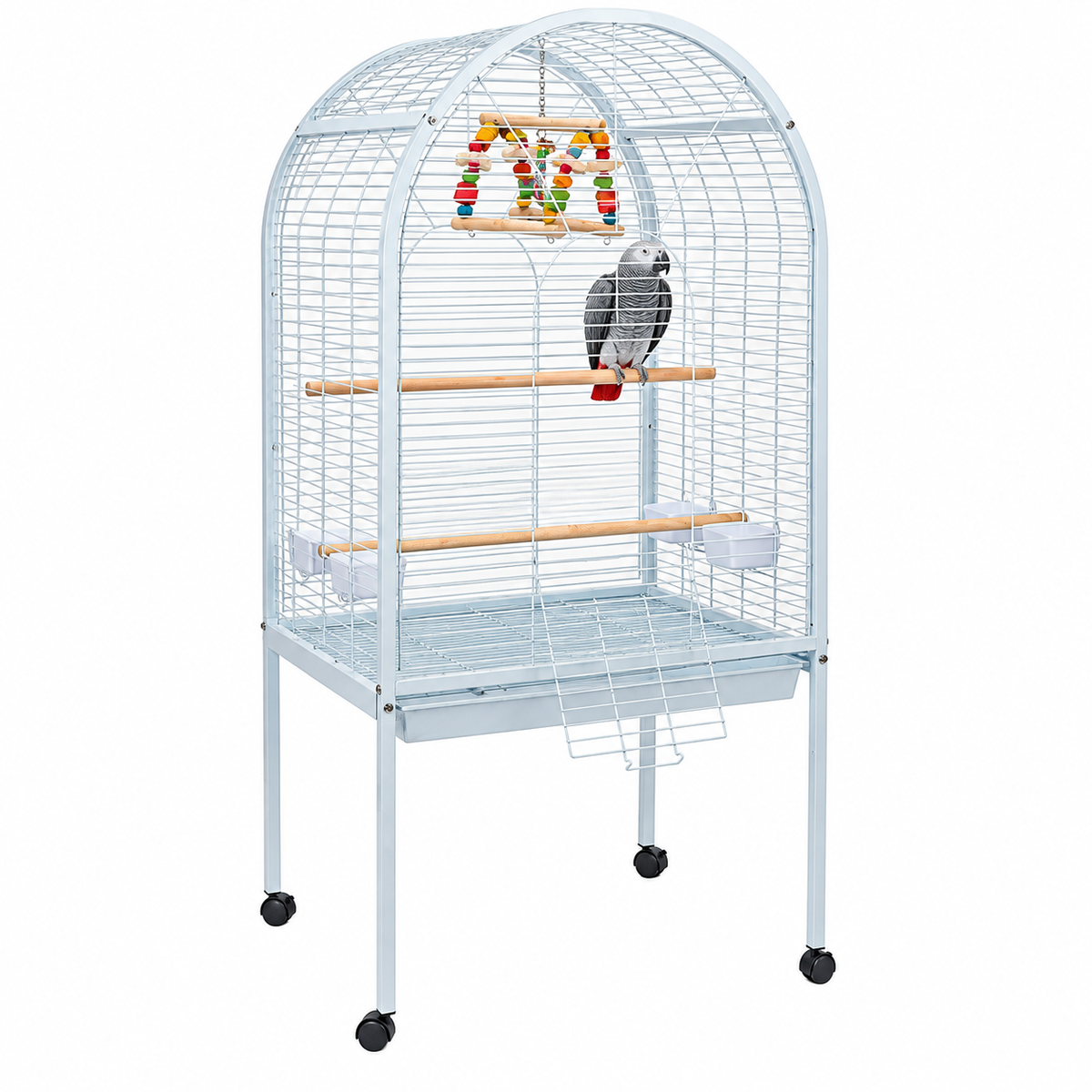 5007 - Liberta Apollo Cage