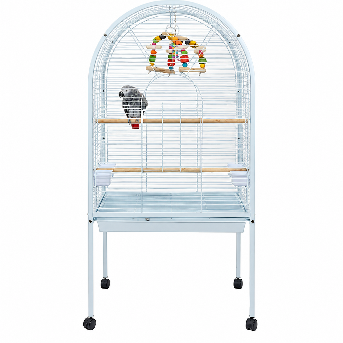 5007 - Liberta Apollo Cage